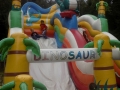 DSCN2140
