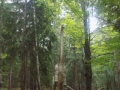 DSCN2181