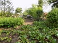 DSCN0050