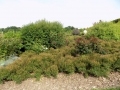 DSCN0053