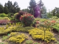 DSCN0056