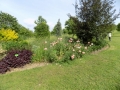 DSCN0059
