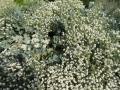 DSCN0061