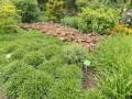DSCN0064