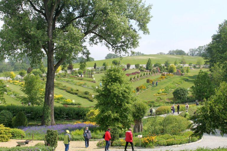 Wycieczka do Arboretum w Wojsławicach