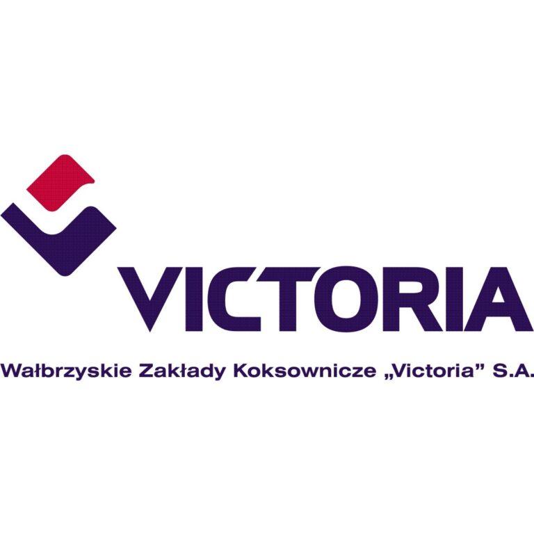 Górski Półmaraton z Flagą na Trójgarbie z dofinansowaniem Wałbrzyskich Zakładów Koksowniczych „Victoria” S.A.